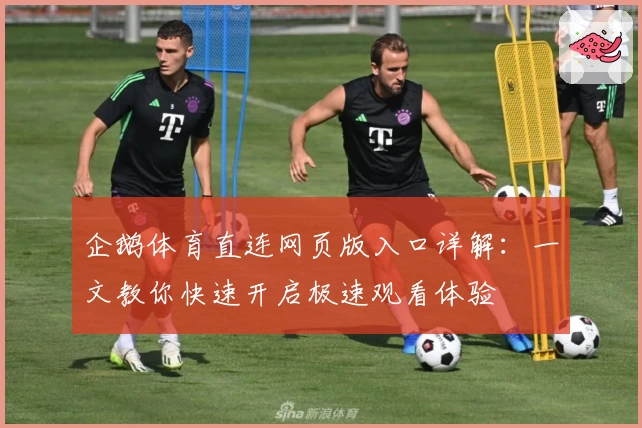 企鹅体育直连网页版入口详解：一文教你快速开启极速观看体验