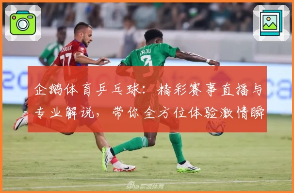 企鹅体育乒乓球：精彩赛事直播与专业解说，带你全方位体验激情瞬间