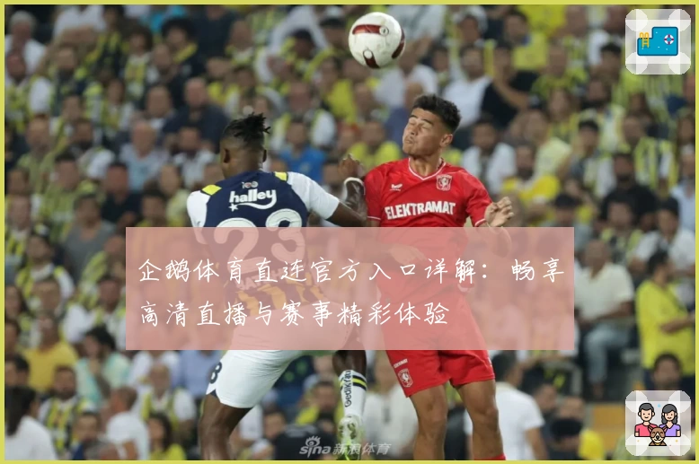 企鹅体育直连官方入口详解：畅享高清直播与赛事精彩体验