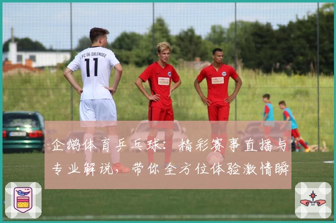 企鹅体育乒乓球：精彩赛事直播与专业解说，带你全方位体验激情瞬间