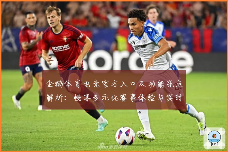 企鹅体育电竞官方入口及功能亮点解析：畅享多元化赛事体验与实时互动