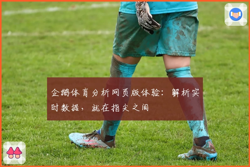 企鹅体育分析网页版体验：解析实时数据，就在指尖之间