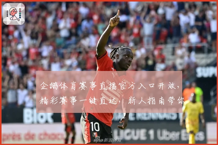 企鹅体育赛事直播官方入口开放，精彩赛事一键直达，新人指南带你秒懂观看技巧