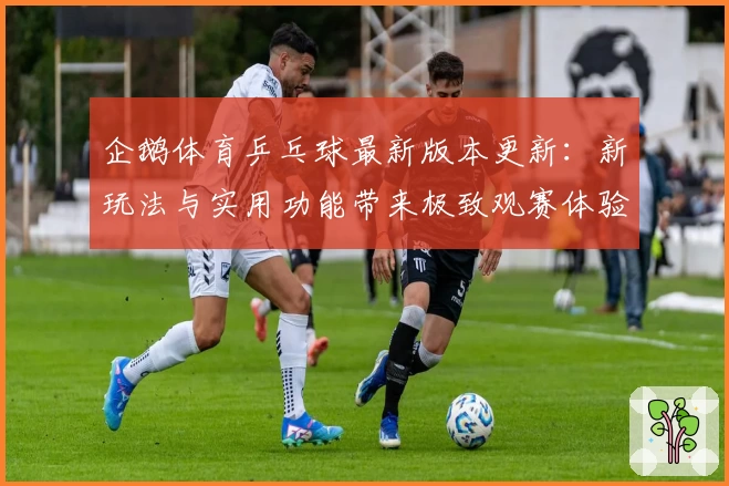 企鹅体育乒乓球最新版本更新：新玩法与实用功能带来极致观赛体验