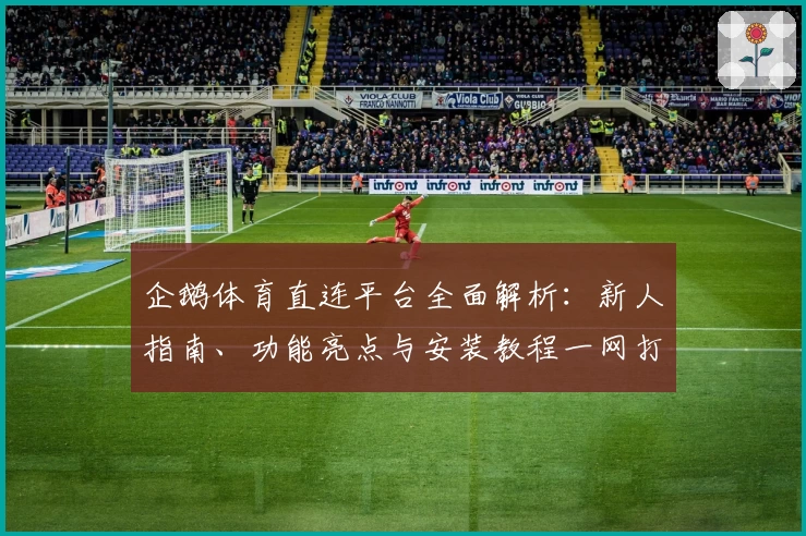 企鹅体育直连平台全面解析：新人指南、功能亮点与安装教程一网打尽